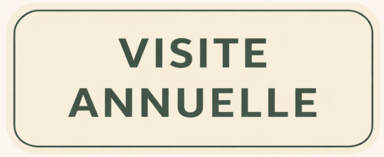 Visite annuelle de contrôle et d’entretien